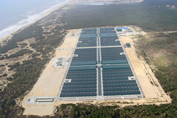 Planta de Acuinova, filial de Pescanova, en Mira, Portugal/ pescanova.com