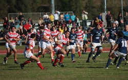 Un xogador do Vigo Rugby avanza cara a defensa castelá. / vigorugby.com