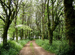 Fraga de Catasós, en Lalín