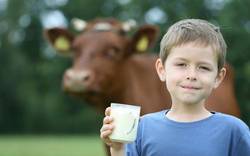Un neno promociona o leite cun gran sorriso
