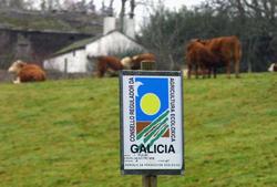 Gandeiría inscrita no Consello Regulador da Agricultura Ecolóxica de Galicia (CRAEGA)/ GC