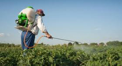 Agricultor aplicando produtos fitosanitarios / GC - Arquivo