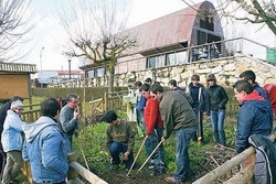 Obradoiro de horticultura urbana en Ourense/AGHU