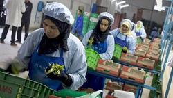 Traballadoras marroquíes en empresas españolas instaladas en Marrocos