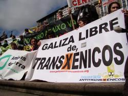 Mobilización contra os transxénicos/ GC
