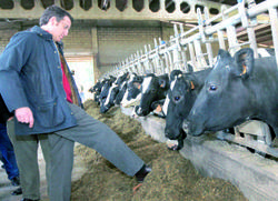Feijóo visitanto unha granxa de vacas/ FV