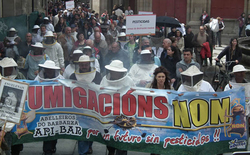 Manifestación dos apicultores contra as fumigacións de eucaliptos/GC