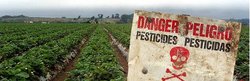 Campaña contra os pesticidas na agricultura