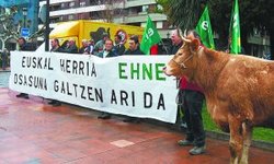 Acto de protesta de EHNE