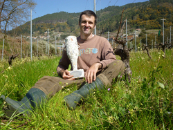 Bernado Estévez co premio do Instituto Galego do Viño/GC