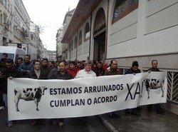 Manifestación dos gandeiros do leite en Lugo / campogalego.com twitter