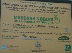 Cartel da plantación de Maderas Nobles financiada pola Xunta