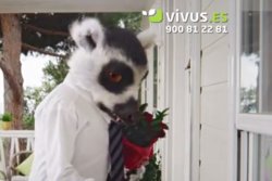 Captura dun anuncio de Vivus cun lemur como protagonista