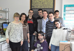 grupo TeamNanoTech da Universidade de Vigo que traballan con biosensores para tratar o alzhéimer
