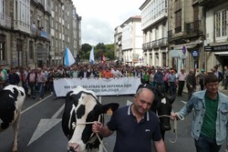Manifestación dos gandeiros do leite polas rúas de Santiago / campogalego.com