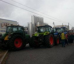 Gandeiros bloqueando a planta leiteira de Outeiro de Rei / Leite Lugo Facebook Gandeiros bloqueando a planta leiteira de Outeiro de Rei / Leite Lugo Facebook Gandeiros bloqueando a planta leiteira de Outeiro de Rei / Leite Lugo Facebook