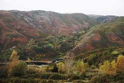 Zona Especial de Protección de Aves (ZEPA) en Muiños, na Baixa Limia - Serra do Xurés / Xunta. 