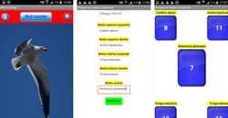 Bird Counter, aplicación móbil para realizar contaxes de aves.