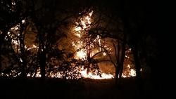 Incendio en Serra de San Madede (Ourense)