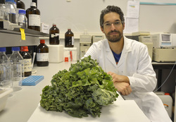 O enxeñeiro agrónomo e doutor Jorge Armesto analizou na súa tese a composición da verza / UVigo.
