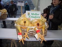 Premio mellor criadora 2017. Fonte: Asoc. Criadores de Capón de Vilalba. 