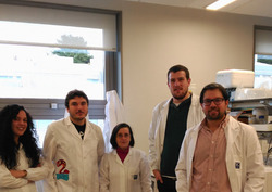 Antón Barreiro (á esquerda) con parte do equipo do departamento de Bioloxía Funcional da Universidade de Santiago / USC. 
