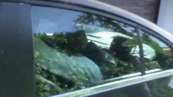 Ignacio González tenta ocultarse cando a Policía o sube detido a un coche /lasexta.com