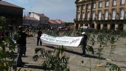 Os ecoloxistas enchen de eucaliptos a Praza do Obradoiro para protestar contra a plantación masiva desta especie en Galicia / Galicia Confidencial.
