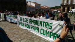 organizacións ecoloxistas participaron nunha protesta no Obradoiro contra a eucaliptización de Galicia / Galicia Confidencial.