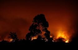 Incendio en Portugal
