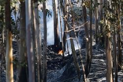 O incendio forestal de Mondariz (Pontevedra). MARTA VÁZQUEZ/EUROPA PRESS / Europa Press