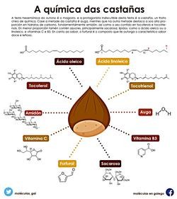 Composición química da castaña / Moléculas en Galego.