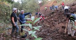 O proxecto prevé a plantación de carballos no canto de eucaliptos no monte Froxán. / kukumiku.com