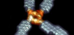 Imaxe do novo dispositivo molecular e as súas conexións a través de tiras de grafeno, obtida mediante Microscopía de Efecto Túnel (STM). / nanoGUNE