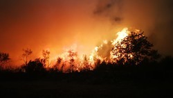 Incendio forestal en la Serra de San Mamede en octubre de 2017