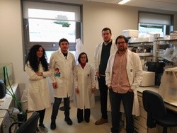 Grupo de investigación do Departamento de Bioloxía Funcional da USC; de esquerda a dereita Rocío Ledo, Daniel Sobrido, María Celina Rodicio, Daniel Romaus e Antón Barreiro / USC.