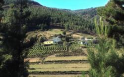 Adega en Negueira de Muñiz / LX