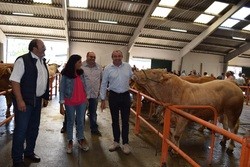 Gando / Deputación de Lugo.