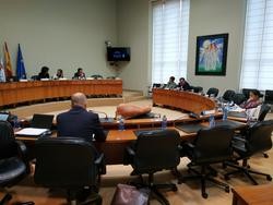 O director xeral de Enerxía e Minas, Anxo Bernardo Tahoces, na comisión / Europa Press