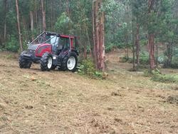 Traballos de limpeza forestal en Galicia. CEDIDA - Arquivo / Europa Press