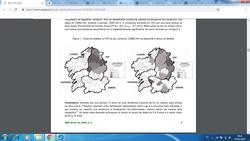 Mapas Borreliose Galicia / SERGAS