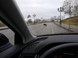 Xabaril na estrada. EUROPA PRESS - Arquivo