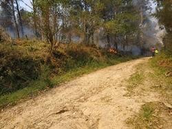 fume nun incendio
