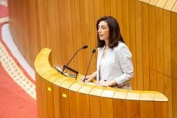 A conselleira de Medio Ambiente, Ángeles Vázquez, no Parlamento de Galicia. XUNTA