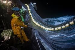Pesca / Europa Press.