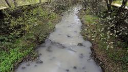Contaminación no rio Bargaña / Ríos Limpos