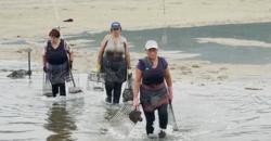 Mariscadoras galegas / Euronews.
