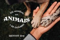 Np Depo Día Mundial Animais. DEPUTACIÓN DE PONTEVEDRA / Europa Press
