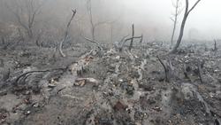 Serra de San Mamede (Macizo Central Ourensán) o 15 de novembro ás 17:30 horas, nunha das corgas que leva a auga ao Ríos Arnoia afluente do Río Miño. Nesta zona aínda non se fixo nada para evitar a erosión e contaminación das augas /Amig@s das árbores