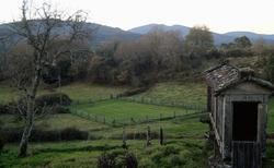 Rural / © Miguel Núñez.